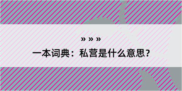 一本词典：私营是什么意思？