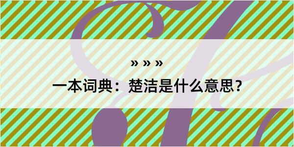 一本词典：楚洁是什么意思？