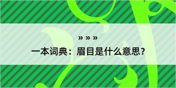 一本词典：眉目是什么意思？