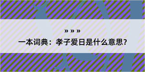 一本词典：孝子爱日是什么意思？