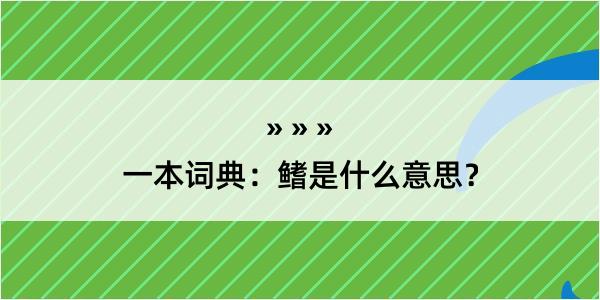 一本词典：鳍是什么意思？