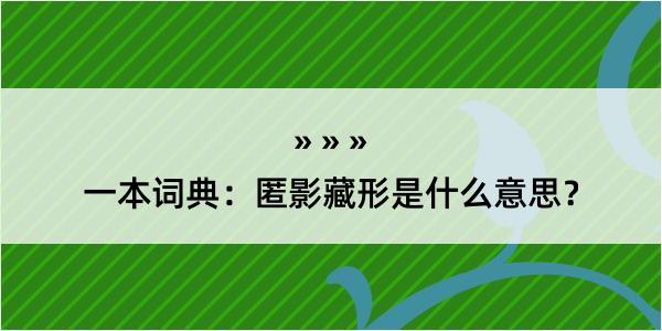 一本词典：匿影藏形是什么意思？