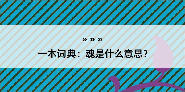 一本词典：魂是什么意思？