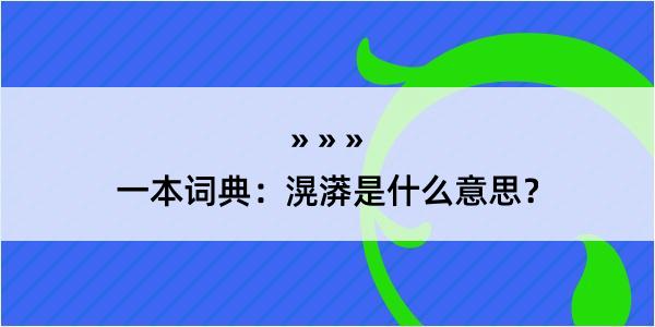 一本词典：滉漭是什么意思？