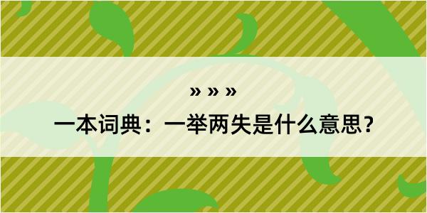 一本词典：一举两失是什么意思？