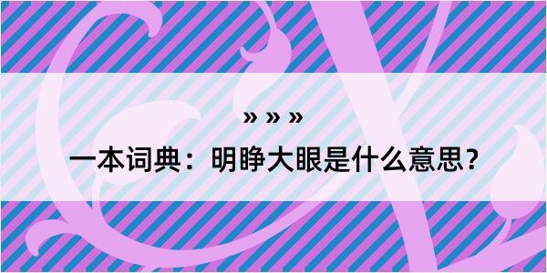 一本词典：明睁大眼是什么意思？