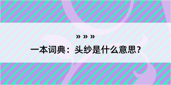 一本词典：头纱是什么意思？