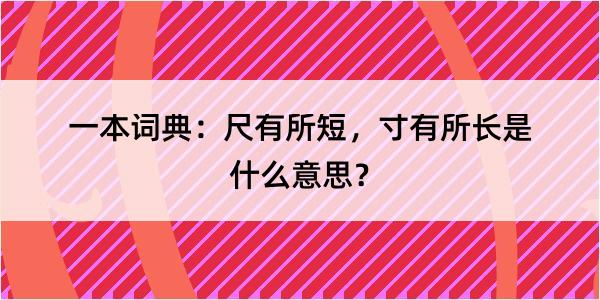 一本词典：尺有所短，寸有所长是什么意思？