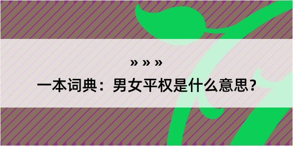 一本词典：男女平权是什么意思？