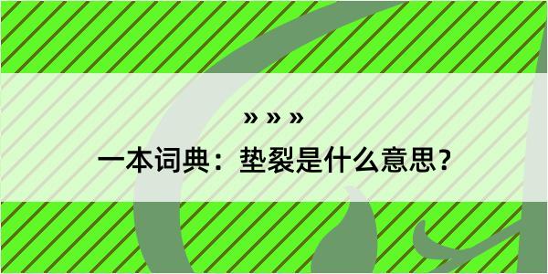 一本词典：垫裂是什么意思？