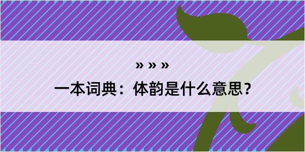 一本词典：体韵是什么意思？