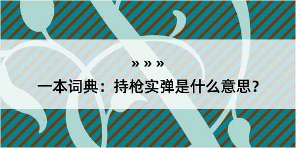 一本词典：持枪实弹是什么意思？