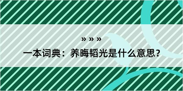 一本词典：养晦韬光是什么意思？