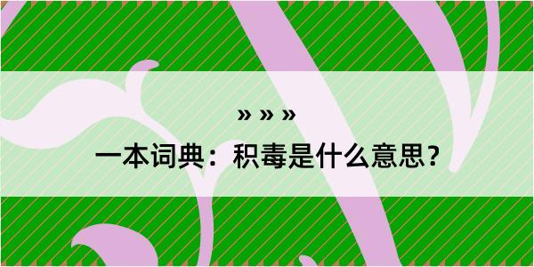 一本词典：积毒是什么意思？