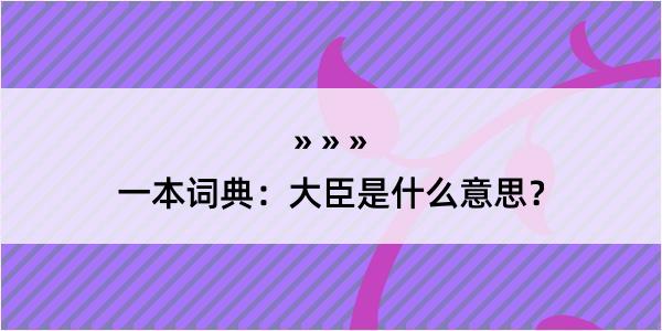 一本词典：大臣是什么意思？