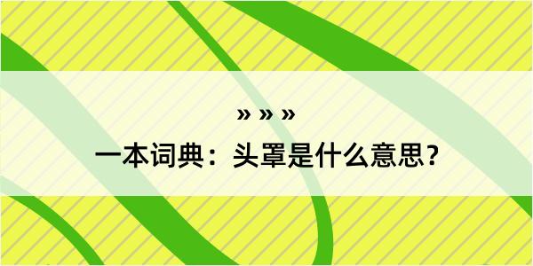 一本词典：头罩是什么意思？