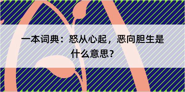 一本词典：怒从心起，恶向胆生是什么意思？