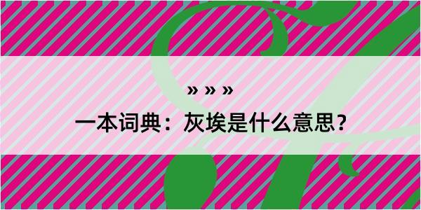 一本词典：灰埃是什么意思？