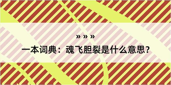 一本词典：魂飞胆裂是什么意思？