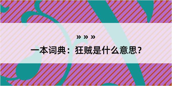 一本词典：狂贼是什么意思？