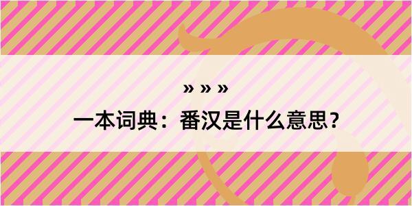 一本词典：番汉是什么意思？