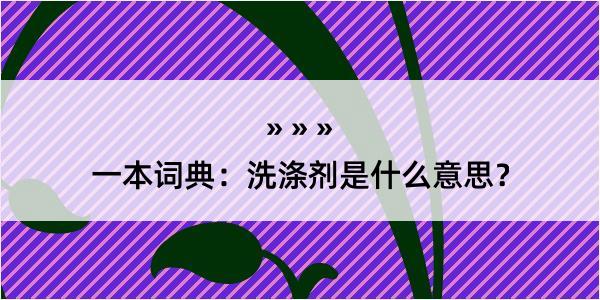 一本词典：洗涤剂是什么意思？