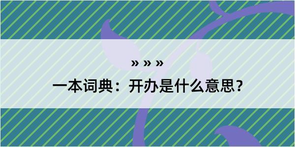 一本词典：开办是什么意思？