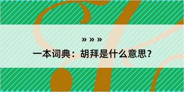 一本词典：胡拜是什么意思？