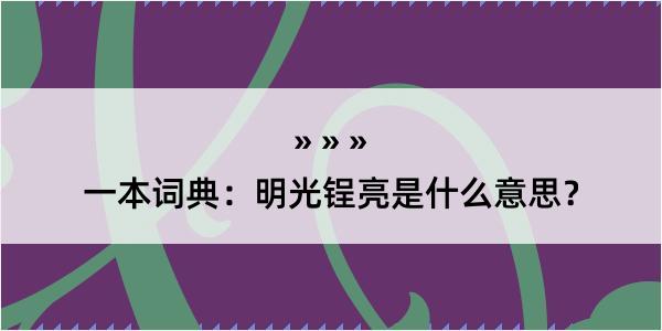 一本词典：明光锃亮是什么意思？