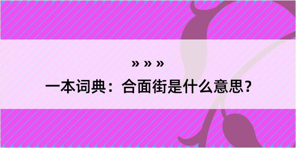 一本词典：合面街是什么意思？