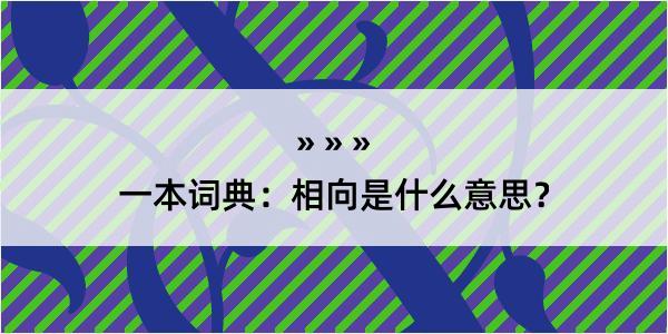 一本词典：相向是什么意思？