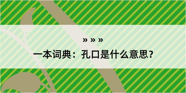 一本词典：孔口是什么意思？