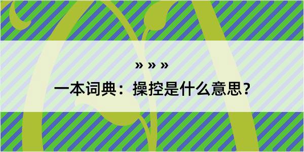 一本词典：操控是什么意思？