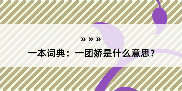 一本词典：一团娇是什么意思？