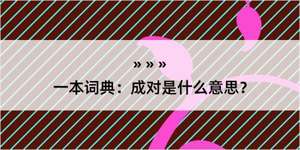 一本词典：成对是什么意思？