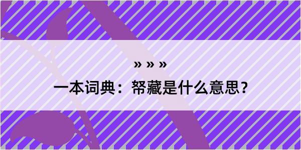 一本词典：帑藏是什么意思？