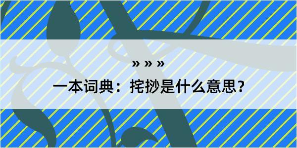 一本词典：挓挱是什么意思？