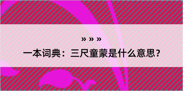 一本词典：三尺童蒙是什么意思？