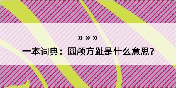 一本词典：圆颅方趾是什么意思？