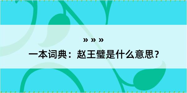 一本词典：赵王璧是什么意思？