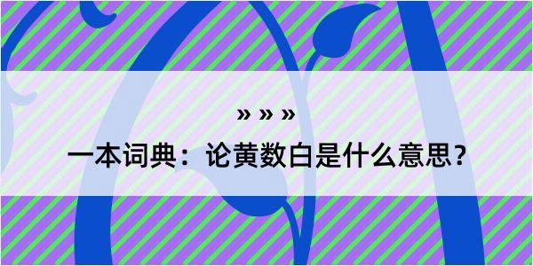 一本词典：论黄数白是什么意思？