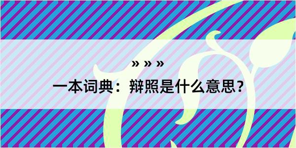 一本词典：辩照是什么意思？