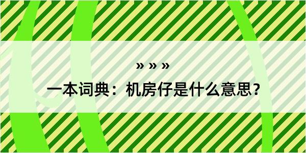 一本词典：机房仔是什么意思？