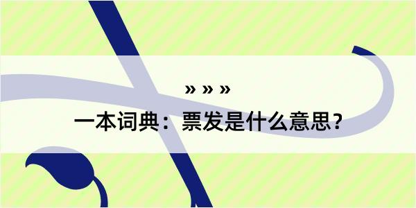 一本词典：票发是什么意思？