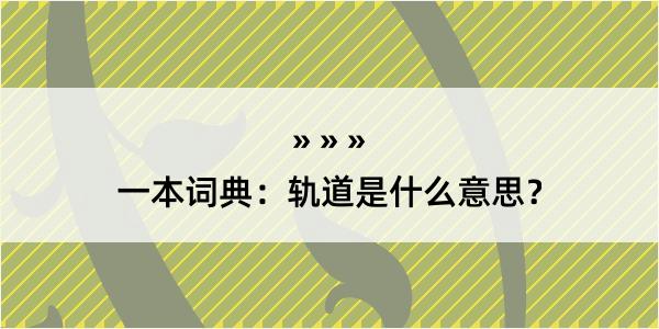 一本词典：轨道是什么意思？