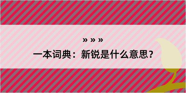 一本词典：新锐是什么意思？