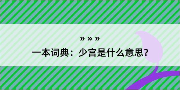 一本词典：少宫是什么意思？