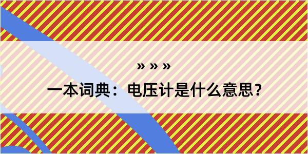 一本词典：电压计是什么意思？