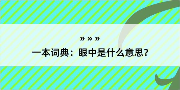 一本词典：眼中是什么意思？