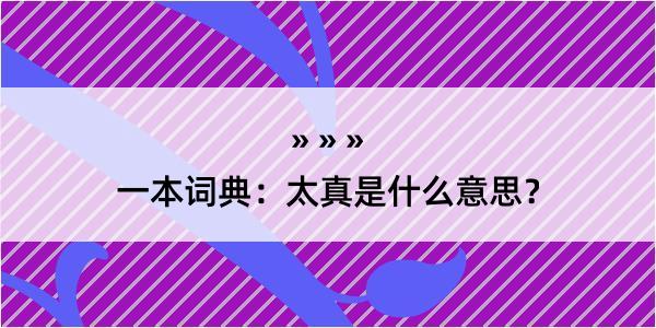 一本词典：太真是什么意思？